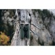 Binocular Swarovski EL Range Tracking Assistant W B