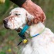 Especial perros de muestra. Collar GPS Mito 5100 + Mando localizador BS3003 Evomap Elite BITRABI COMBI 