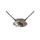 Amplificador de señal BS 4000 Go Far Eco BITRABI