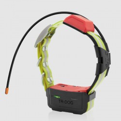 Collar Iocus Polaris
