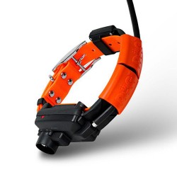 Collar adicional Gps Dogtrace X30 beeper