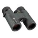 Prismáticos ALPEN OPTICS Chisos 8x32 ED con revestimiento PXA