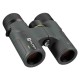 Prismáticos ALPEN OPTICS Chisos 6.5x32 ED con recubrimiento PXA
