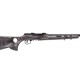 Carabina semiautomática SAVAGE A22 Target Thumbhole - 22 LR